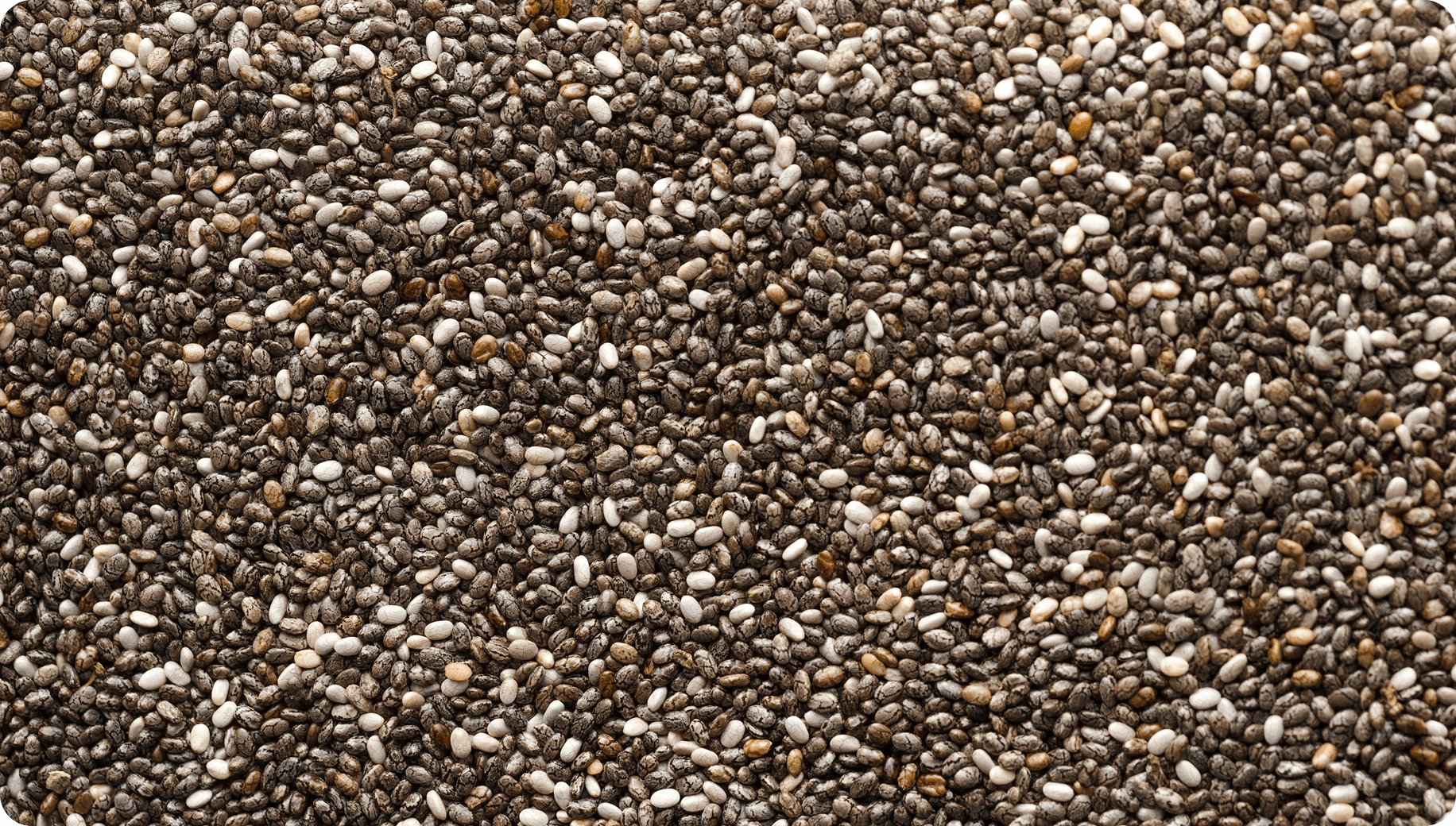 chia