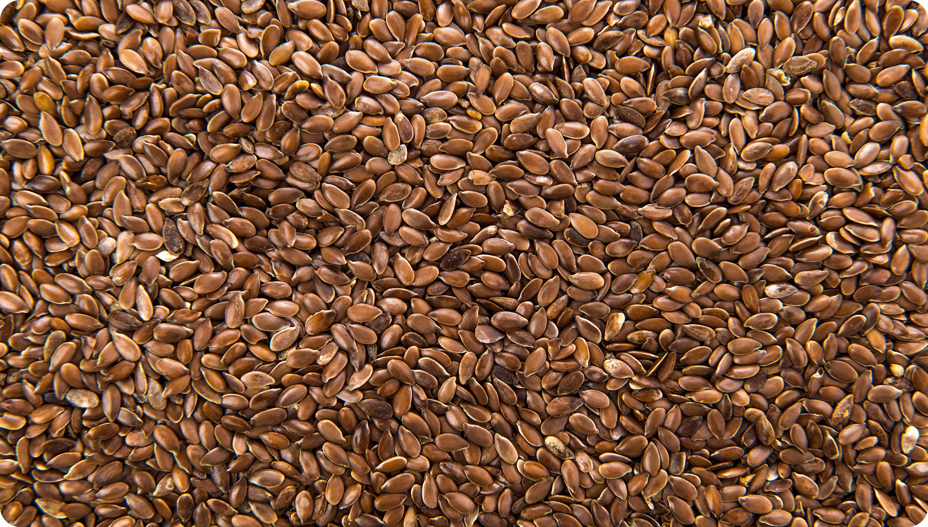flax
